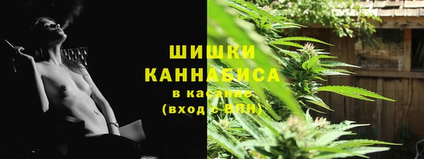 apvp Михайлов