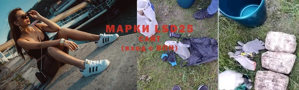 apvp Михайлов