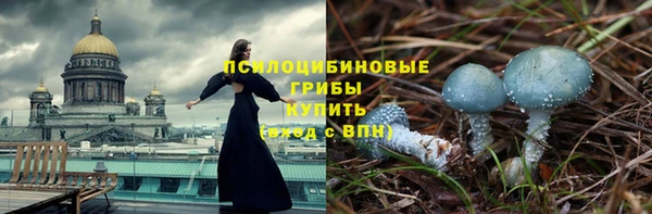 спиды Михайловка