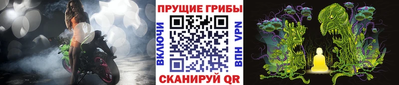 Галлюциногенные грибы GOLDEN TEACHER Палласовка